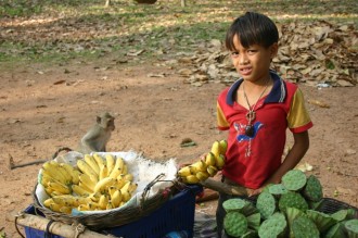 Am Wegesrand: Beim internationalen Wettbewerb verkaufen Kinder Obst