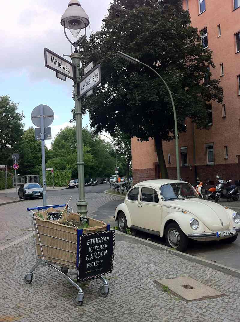 Nahaufnahme der Verkehrsinsel Mittelweg Ecke Leykestraße mit Garten und Käfer am 10.Juli 2013