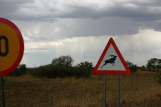  zieren auch Oryx die Warnverkehrsschilder