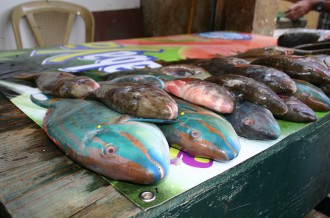 Tote Fische auf dem Markt in Higüey i, Foto: Robert Niedermeier