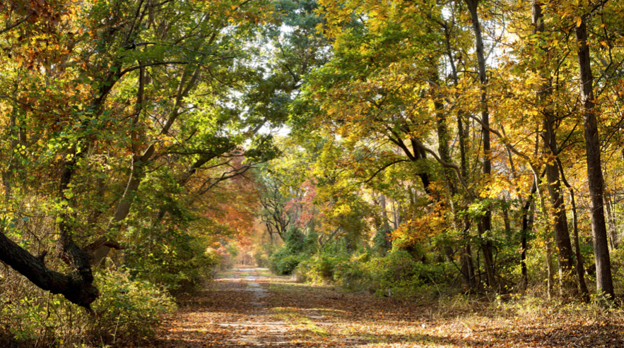 Herbst-Impression auf Long Island