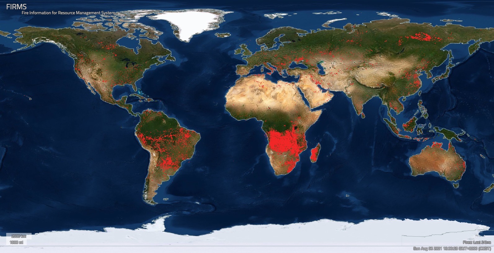 Nasa-Seite zeigt alle Feuer auf der Welt der letzten 24 Stunden