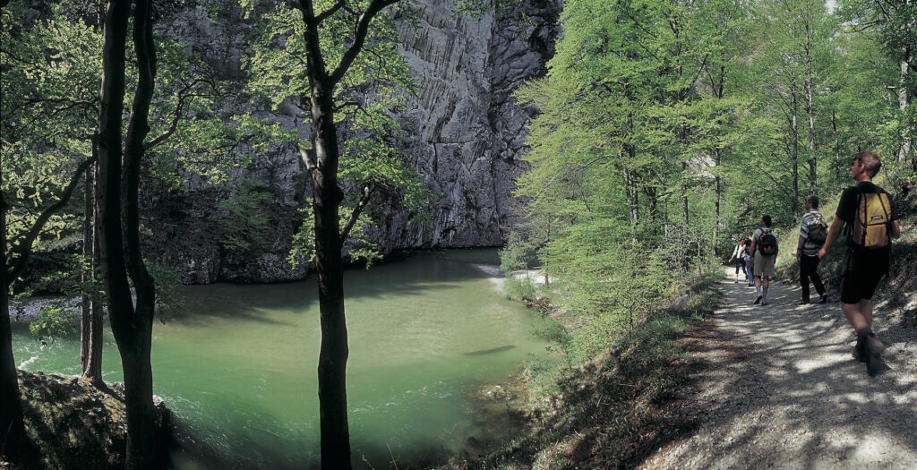 Wandern im wasserreichen Höllental bei Simmerin in Niederösterreich