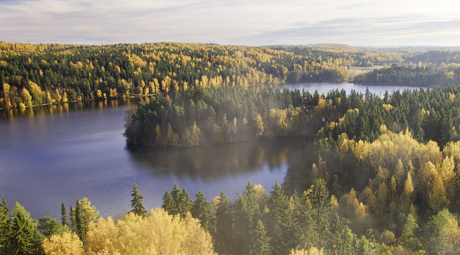 Ruska: Weite Natur in Finnland im Herbst